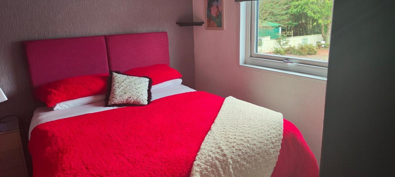 The Cabin Quiet Relaxing And Dog Friendly Mauchline Exteriör bild